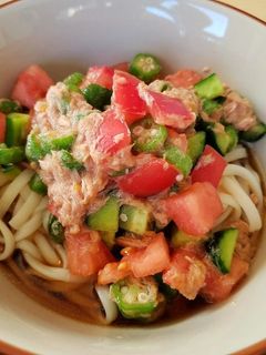 夏野菜でサッパリ冷やしうどん-レシピのメイン写真