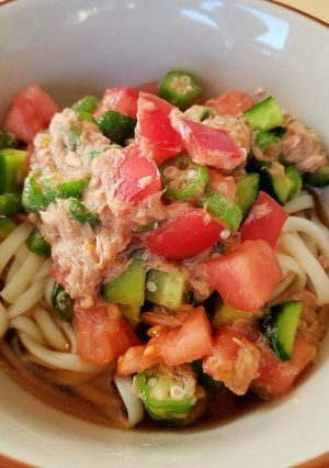 夏野菜でサッパリ冷やしうどん-レシピのメイン写真