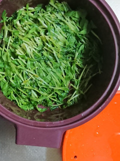 副菜にも付け合わせにも便利なレンチン豆苗-レシピのメイン写真