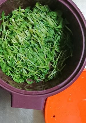 副菜にも付け合わせにも便利なレンチン豆苗-レシピのメイン写真