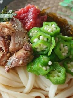 乗せるだけ!鯖缶で梅とろ冷やしうどん-レシピのメイン写真