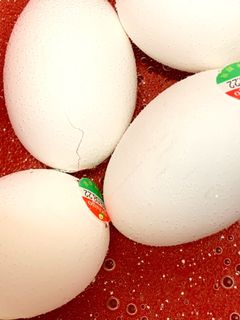 つるんとゆで卵むき-レシピのメイン写真
