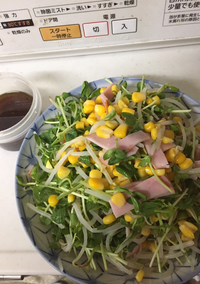 もやしと豆苗の中華サラダ-レシピのメイン写真