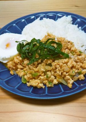 おからパウダーでヘルシーガパオライス-レシピのメイン写真