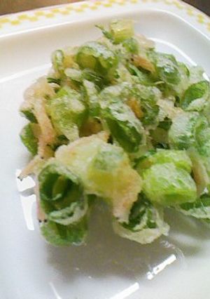 細ネギたっぷりのサクサク掻き揚げ-レシピのメイン写真