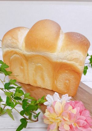 タピオカ粉入り食パン(ｲｰｽﾄver.)-レシピのメイン写真