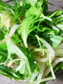 水菜ともやしサラダ-レシピのメイン写真
