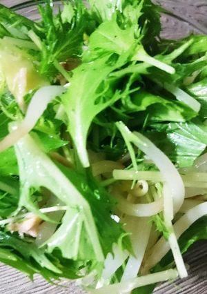 水菜ともやしサラダ-レシピのメイン写真
