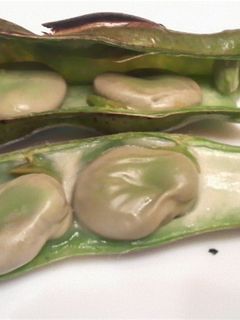 焼いただけそら豆-レシピのメイン写真