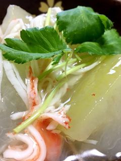 冷やして美味しい冬瓜煮物カニかまあんかけ-レシピのメイン写真