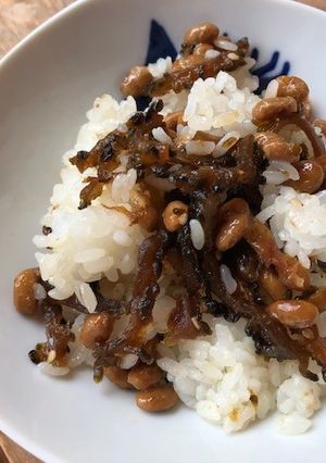 納豆とゴーヤ佃煮のご飯-レシピのメイン写真
