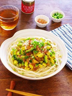 豆腐ゴーヤ肉そぼろスパイシー和えうどん-レシピのメイン写真