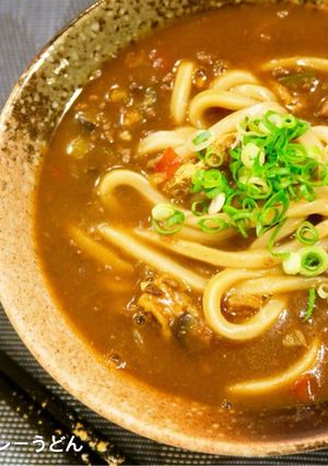 ✼リメイク✼キーマカレーうどん-レシピのメイン写真
