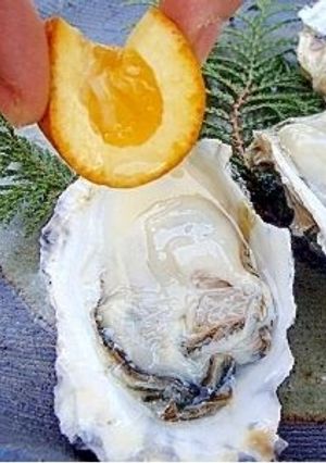 若牡蠣の開き方と酢牡蠣　(よか魚)-レシピのメイン写真