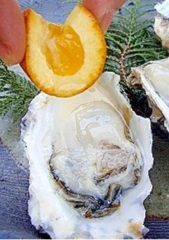 若牡蠣の開き方と酢牡蠣　(よか魚)-レシピのメイン写真