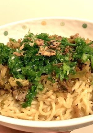 絶品中華風塩ねぎ焼きそば-レシピのメイン写真