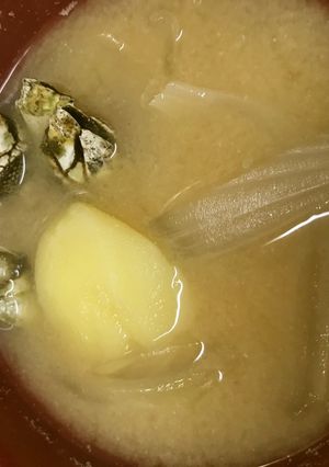 屋久島貝料理特選「亀の手」味噌汁-レシピのメイン写真