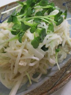 大根とほたて貝柱のサラダ-レシピのメイン写真