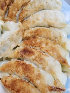野菜多めの手作りギョーザ-レシピのメイン写真