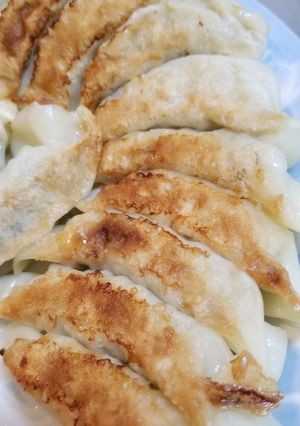 野菜多めの手作りギョーザ-レシピのメイン写真