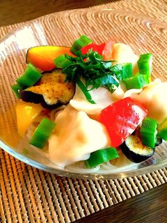 水餃子と夏野菜で!浸しそうめん-レシピのメイン写真