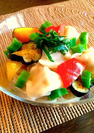 水餃子と夏野菜で！浸しそうめん-レシピのメイン写真