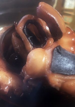 タコの煮物-レシピのメイン写真