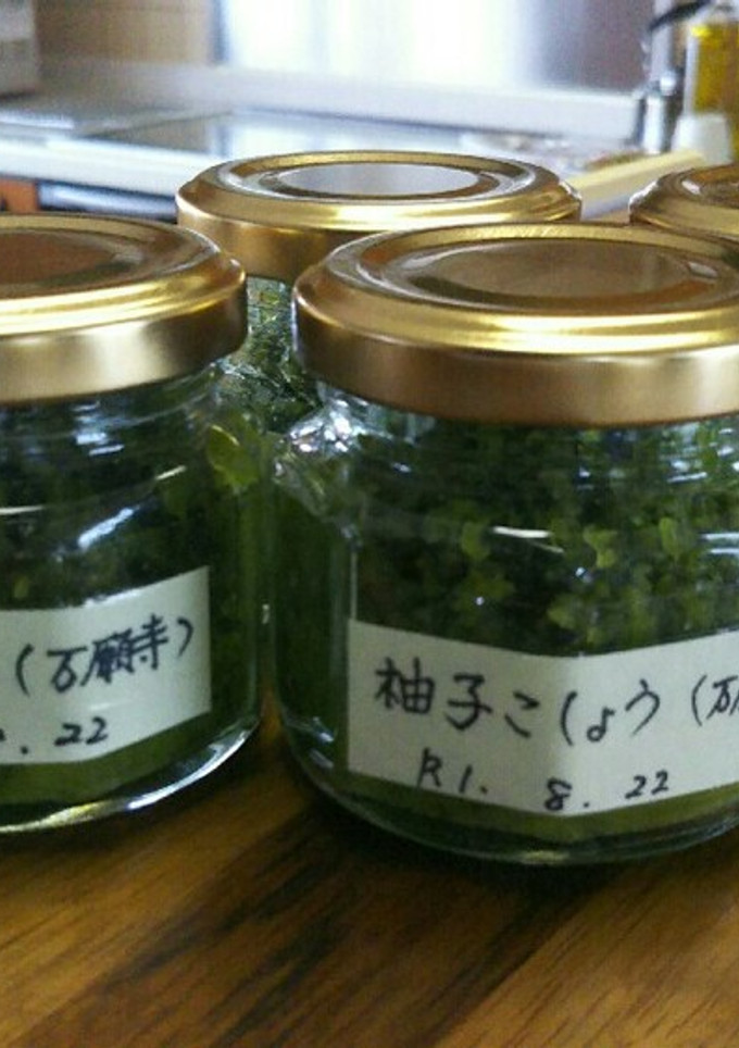 万願寺唐辛子の柚子胡椒！-レシピのメイン写真