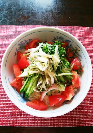 夏のお昼の定番！我が家のサラダうどん-レシピのメイン写真