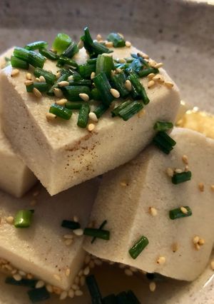 高野豆腐の煮物-レシピのメイン写真