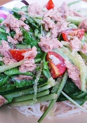 豆乳つゆのサラダ素麺-レシピのメイン写真