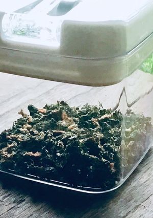 大量消費 ！ 青ジソふりかけ-レシピのメイン写真