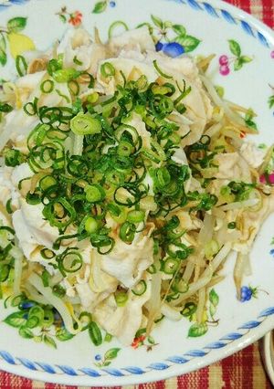 山盛りもやし☆豚しゃぶ入り♪-レシピのメイン写真