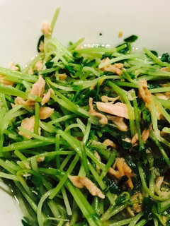 豆苗とツナのレンチン和え-レシピのメイン写真