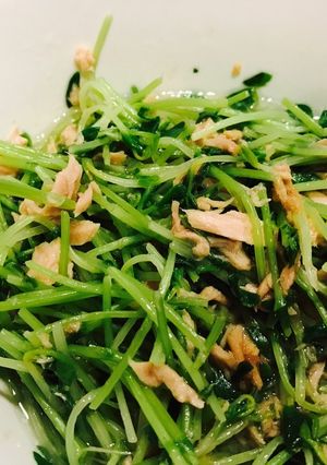 豆苗とツナのレンチン和え-レシピのメイン写真