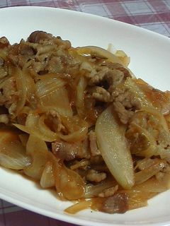 豚肉と玉ねぎの炒め物☆-レシピのメイン写真