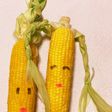 超簡単インスタ映えする蒸しとうもろこし