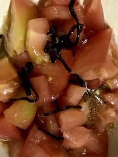 トマトが劇的にうまい塩昆布和え-レシピのメイン写真