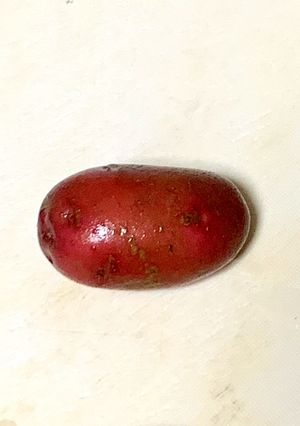 簡単スルッとまるはだか!じゃがいも皮剥き-レシピのメイン写真