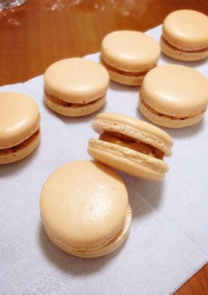 失敗知らずのマカロン-レシピのメイン写真