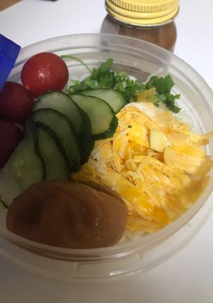 さっぱり梅そうめん お弁当。-レシピのメイン写真