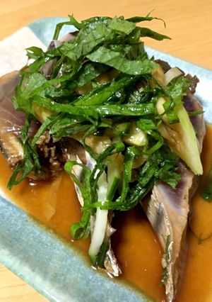 三杯酢で食べる鰹のタタキ-レシピのメイン写真