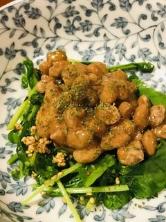 毎日の納豆●ルッコラの胡麻炒めと-レシピのメイン写真