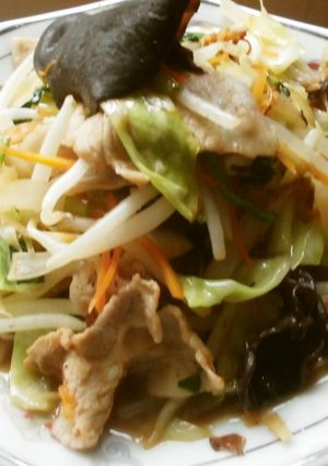 五目（肉）野菜炒め♪-レシピのメイン写真