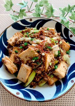 簡単・節約！厚揚げと豚ひき肉の甘辛炒め-レシピのメイン写真