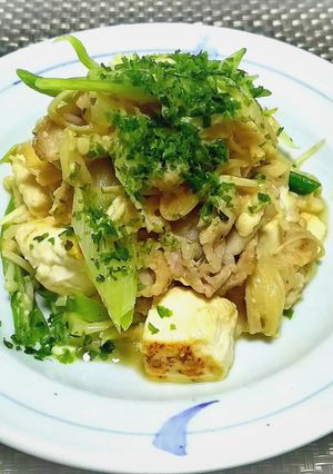 豆腐と豚肉と和葱のチャンプルー♪-レシピのメイン写真