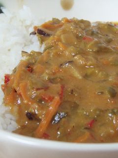 夏☆ヘルシーなココナッツカレー-レシピのメイン写真