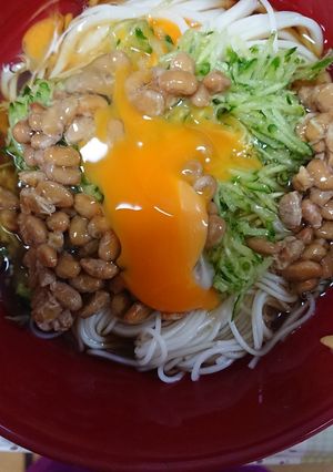 夏のさっぱりうどん-レシピのメイン写真