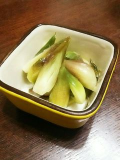シンプル、食べる分だけみょうがの浅漬け。-レシピのメイン写真