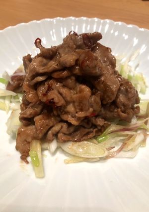 豚肉とねぎの黒酢炒め-レシピのメイン写真